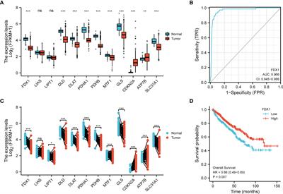 Molecular Subtyping Based on Cuproptosis-Related Genes and Characterization of Tumor Microenvironment Infiltration in Kidney Renal Clear Cell Carcinoma